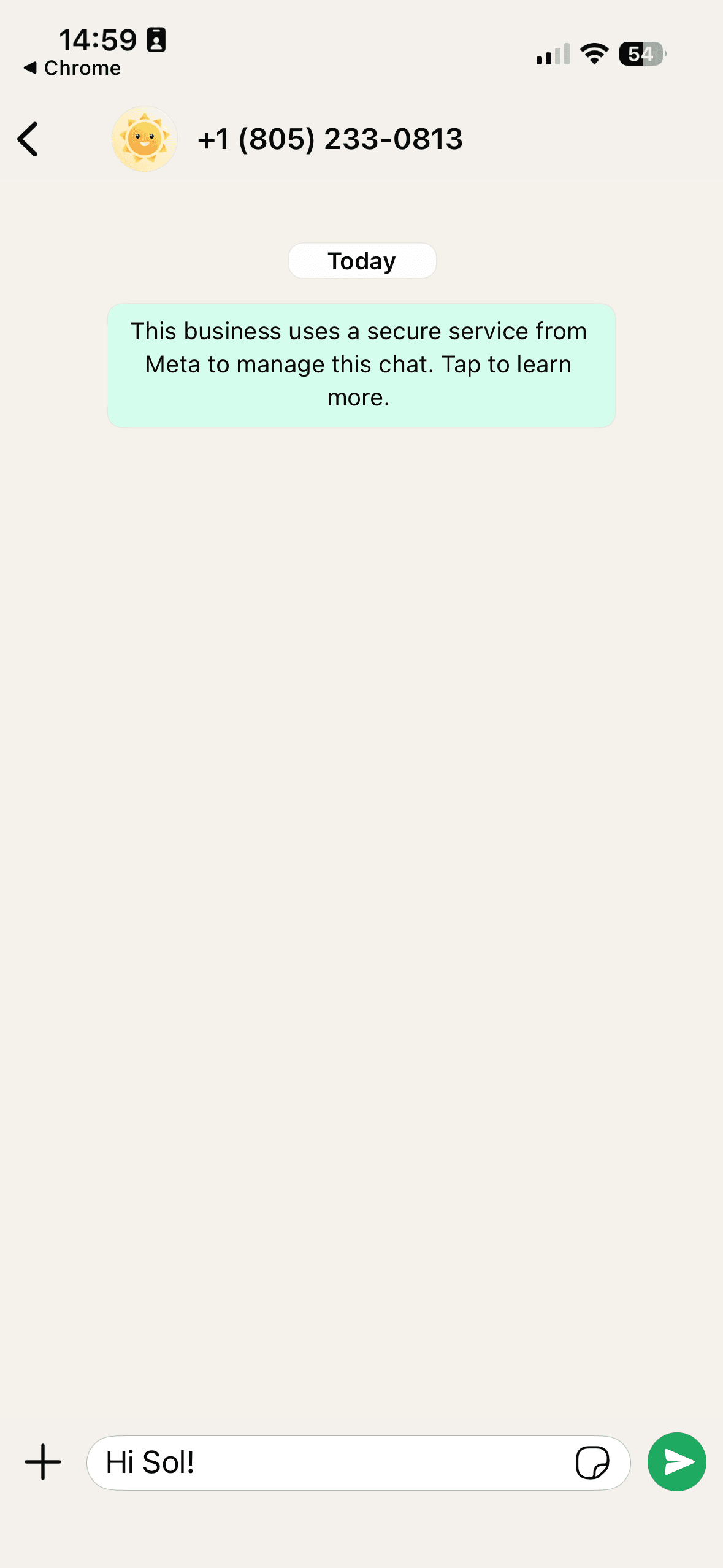 WhatsApp chat opened to Sol with the message “Hi Sol!” already typed into the message box but not yet sent